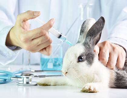 Odour Control in Animal Research Labs