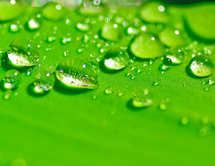 Surface Moisture Drying