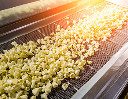 Snack Food Processing and Packaging