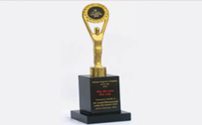 Export Company of the Year 2010