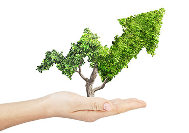 NMP (N-Methyl-2-pyrrolidone) Recovery